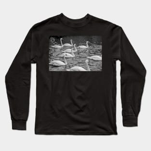 Elegant mute swans swimming the River Bure in the heart of the Norfolk Broads Long Sleeve T-Shirt